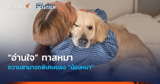 “น้องหมา” มีความสามารถพิเศษในการ “อ่านใจ” ทาสหมา
