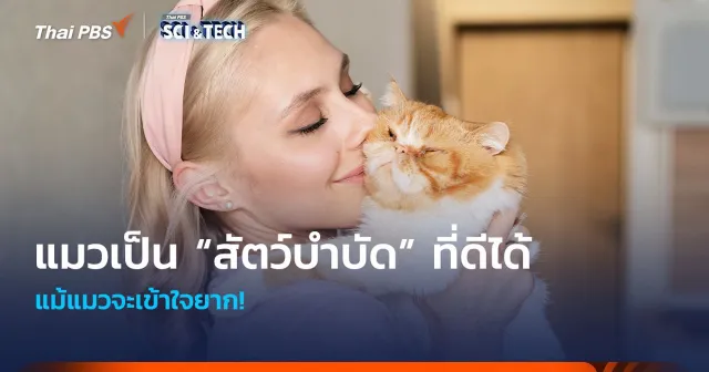 แม้แมวจะเข้าใจยาก! แต่แมวเป็น “สัตว์บำบัด” ที่ดีได้