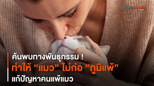 ค้นพบทางพันธุกรรม ! ทำให้แมวไม่ก่อ “ภูมิแพ้” แก้ปัญหาคนแพ้แมว