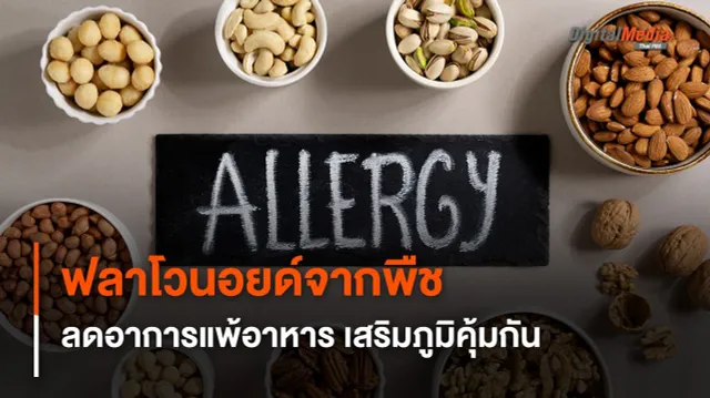 ฟลาโวนอยด์จากพืช ช่วยลดอาการแพ้อาหาร และเสริมภูมิคุ้มกัน