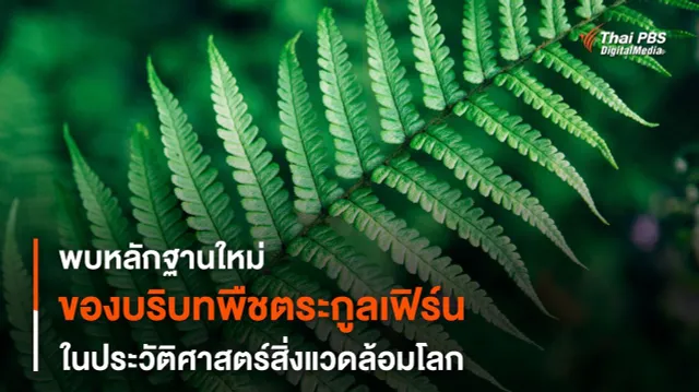 พบหลักฐานพืชตระกูล “เฟิร์น” ฟื้นฟูสิ่งแวดล้อมหลังภัยพิบัติ