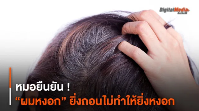 หมอยืนยัน ! “ผมหงอก” ยิ่งถอนไม่ทำให้ยิ่งหงอก