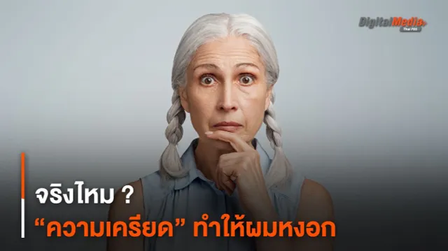 จริงไหม ? “ความเครียด” ทำให้ผมหงอก