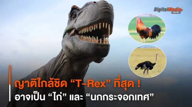 ญาติใกล้ชิด “T-Rex” ที่สุด ! อาจเป็น “ไก่” และ “นกกระจอกเทศ”