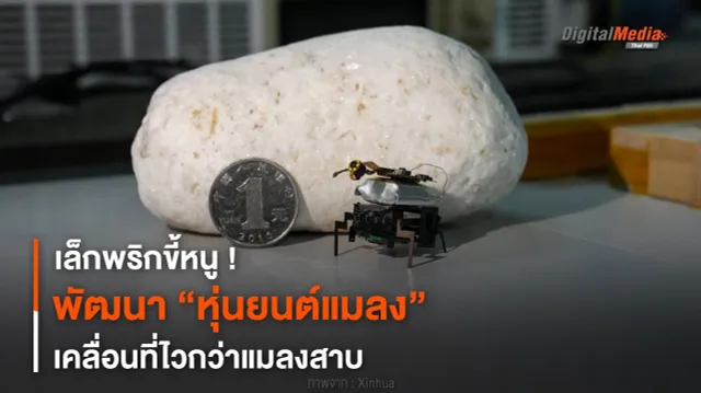 เล็กพริกขี้หนู ! พัฒนา “หุ่นยนต์แมลง” เคลื่อนที่ไวกว่าแมลงสาบ