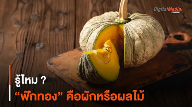 รู้ไหม ? “ฟักทอง” คือผักหรือผลไม้