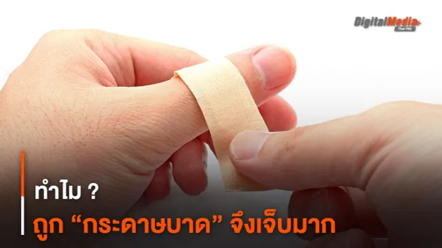 ทำไม ? ถูก “กระดาษบาด” จึงเจ็บมาก