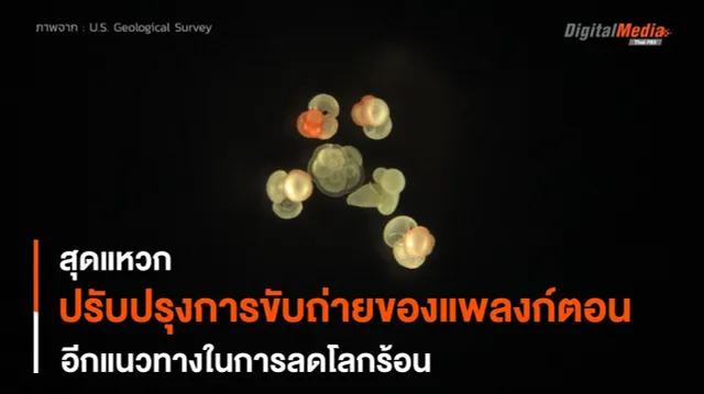 ปรับปรุงคุณสมบัติขับถ่าย “แพลงก์ตอน” อีกแนวทางลดโลกร้อน