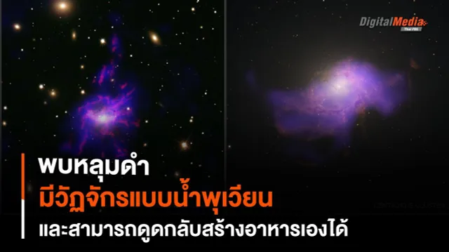 พบวัฏจักรใหม่ของ "หลุมดำ" เสมือนน้ำพุเวียน