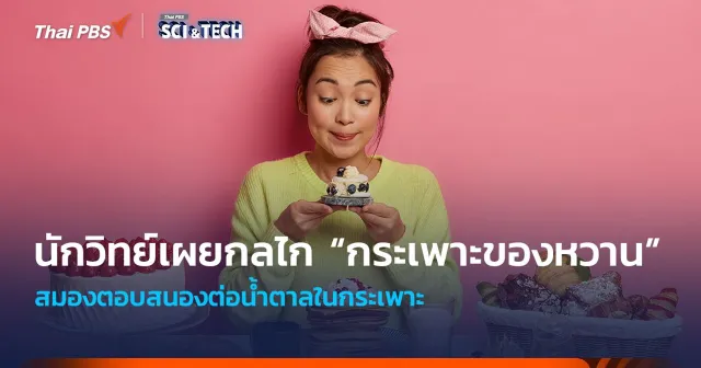 สมองตอบสนองน้ำตาลในกระเพาะ! เผยกลไก "กระเพาะของหวาน" ที่ทำให้อยากของหวาน