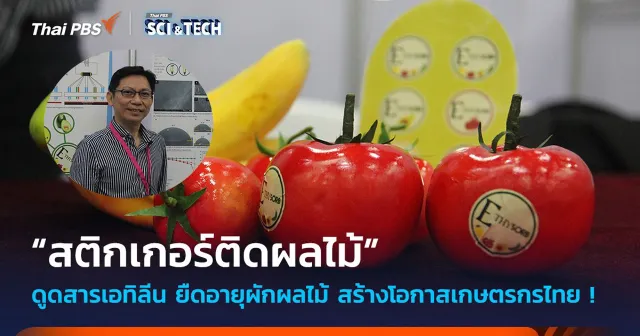 ช่วยสร้างโอกาสเกษตรกรไทย ! “สติกเกอร์ติดผลไม้” ดูดสารเอทิลีน ยืดอายุผักผลไม้