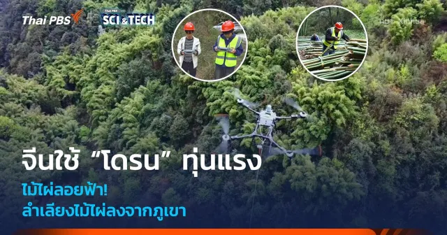 ไม้ไผ่ลอยฟ้า! เกษตรกรจีนใช้ “โดรน” ทุ่นแรง ลำเลียงไม้ไผ่ลงจากภูเขา