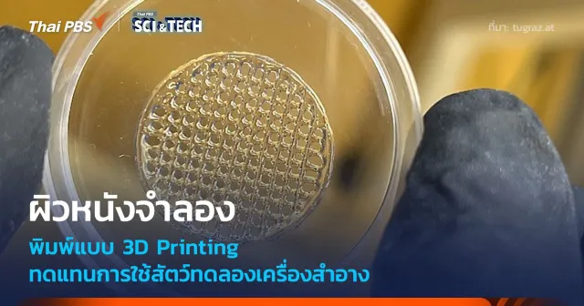 ผิวหนังจำลองพิมพ์ 3 มิติ แทนการใช้สัตว์ทดลอง ทางเลือกของอุตสาหกรรมเครื่องสำอาง
