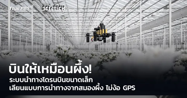 บินให้เหมือนผึ้ง! ระบบนำทางโดรนบินขนาดเล็ก เลียนแบบการนำทางจากสมองผึ้ง ไม่ง้อ GPS