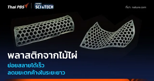 พลาสติกชีวภาพจากไม้ไผ่ ย่อยสลายได้เร็ว ลดขยะตกค้างในระยะยาว