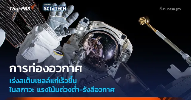 การท่องอวกาศ "แรงโน้มถ่วงต่ำ-รังสีอวกาศ" เร่งให้สเต็มเซลล์แก่เร็วขึ้น