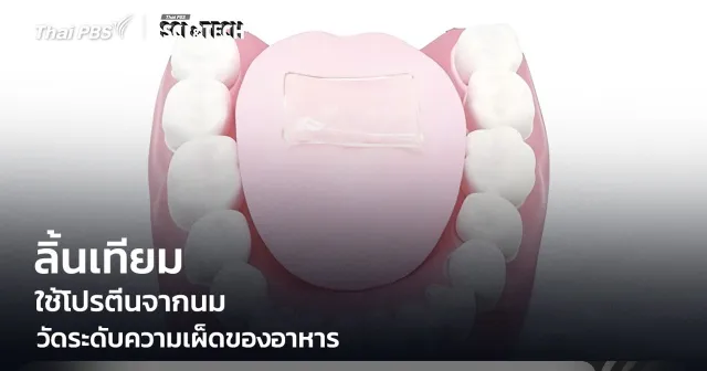 เผ็ดแค่ไหนรู้ได้ทันที! "ลิ้นเทียมจากโปรตีนนม" วัดระดับความเผ็ด ช่วยคุมรสชาติอาหาร