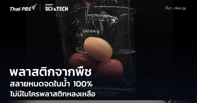 สุดว้าว! พลาสติกจากพืช สลายหมดจดในน้ำ 100% ไม่มีไมโครพลาสติกหลงเหลือ