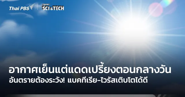 อันตรายต้องระวัง! อากาศเย็นแต่แดดเปรี้ยงตอนกลางวัน แบคทีเรีย-ไวรัสเติบโตได้ดี