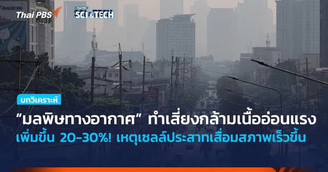 เสี่ยงเพิ่มขึ้น 20-30%! “มลพิษทางอากาศ” เชื่อมโยงโรคกล้ามเนื้ออ่อนแรง