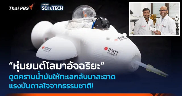แรงบันดาลใจจากธรรมชาติ! “หุ่นยนต์โลมาอัจฉริยะ” ดูดคราบน้ำมันให้ทะเลกลับมาสะอาด