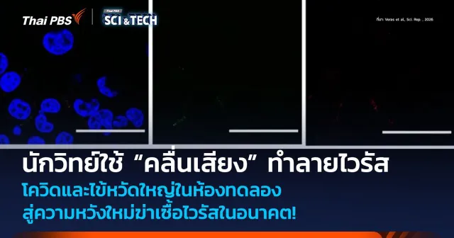นักวิทย์ใช้ “คลื่นเสียง” ทำลายไวรัสโควิดและไข้หวัดใหญ่ในห้องทดลอง