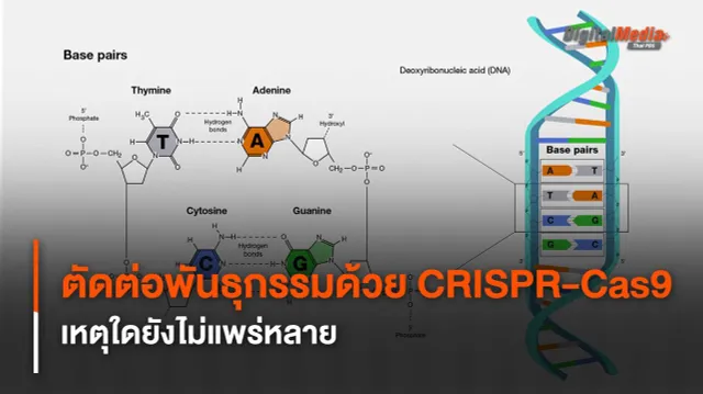 CRISPR-Cas9 นวัตกรรมตัดต่อพันธุกรรม เหตุใดไม่ถูกใช้แพร่หลาย