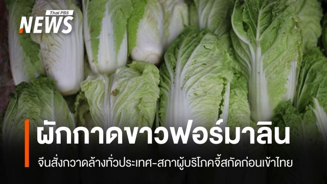 จีนสั่งกวาดล้าง "ผักกาดขาวฟอร์มาลิน" สภาผู้บริโภค จี้รัฐสกัดก่อนเข้าไทย