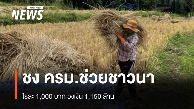 "สุริยะ" เผยชง ครม.ช่วยชาวนาไร่ละ 1,000 บาท วงเงิน 1,150 ล้านบาท 