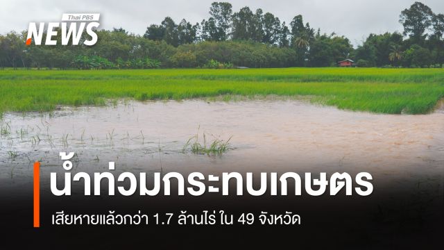 น้ำท่วมกระทบเกษตร 49 จังหวัด เสียหายกว่า 1.7 ล้านไร่ เร่งฟื้นสวนทุเรียนภาคตะวันออก