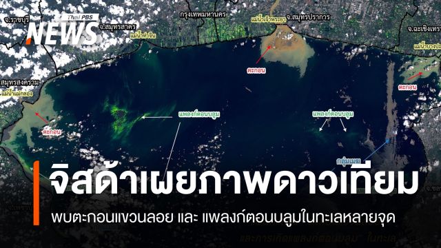 ดาวเทียมพบตะกอนหนาแน่นบริเวณปากแม่น้ำ 3 แห่ง "แพลงก์ตอนบลูม" ชายฝั่ง 4 จังหวัด