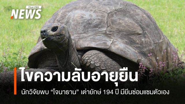 นักวิจัยพบ "โจนาธาน" เต่า 194 ปี มียีนซ่อมตัวเอง หวังต่อยอดมนุษย์แก่ช้าลง