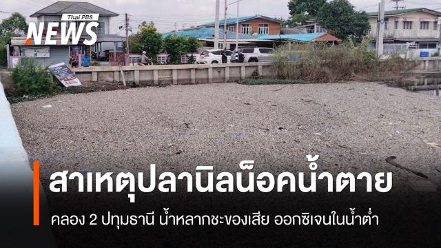 "กรมประมง" ชี้ปลานิลน็อคน้ำตายคลอง 2 ปทุมธานี เหตุน้ำหลากชะล้างของเสีย ออกซิเจนในน้ำต่ำ  