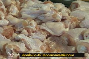 อธิบดีกรมควบคุมโรคแนะวิธีซื้อเป็ด-ไก่ปลอดภัยจากไข้หวัดนกช่วงตรุษจีน