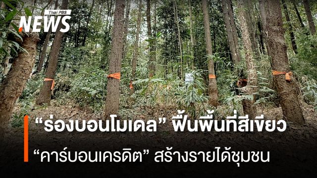 “ร่องบอนโมเดล” ฟื้นพื้นที่สีเขียว-ลดไฟป่า “คาร์บอนเครดิต” สร้างรายได้ชุมชน