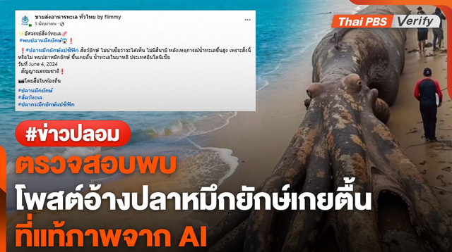 ตรวจสอบแล้ว : ภาพปลอมอ้างหมึกยักษ์เกยหาดที่อินโดฯ