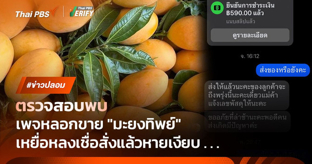ตรวจสอบพบ : เพจปลอมยิงโฆษณาหลอกขาย "มะยงทิพย์"