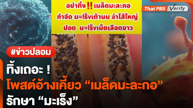 ทิ้งเถอะ อย่าเคี้ยว ! นักวิจัยถูกโพสต์อ้างเคี้ยว "เมล็ดมะละกอ" รักษามะเร็ง