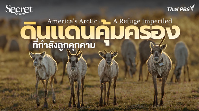 Secret Story | America's Arctic: A Refuge Imperiled ดินแดนคุ้มครองที่กำลังถูกคุกคาม