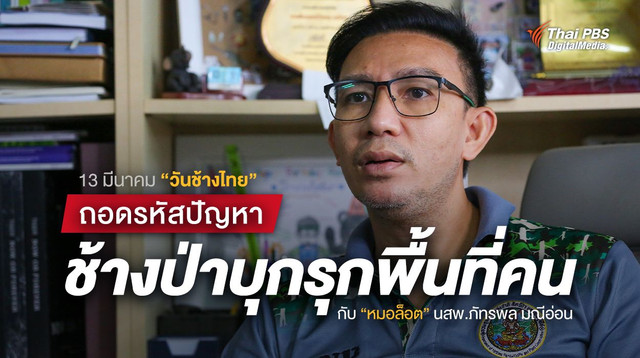 คุยกับ “หมอล็อต” นสพ.ภัทรพล มณีอ่อน แก้ปัญหาช้างป่า