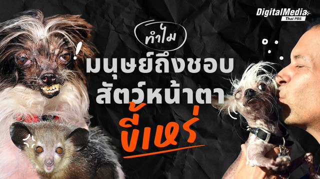 ทำไมบางคนถึงชอบสัตว์เลี้ยงขี้เหร่