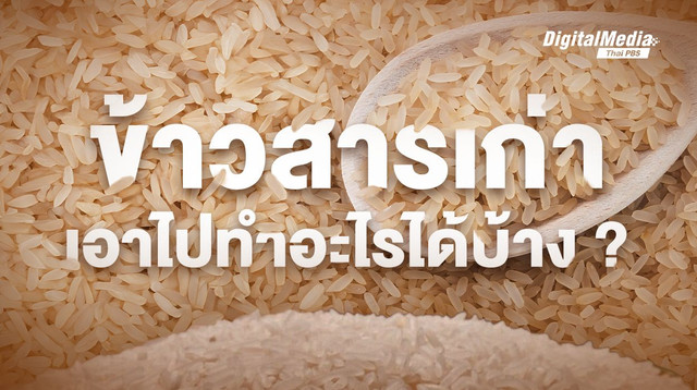 มากกว่าการกิน! เปิดวิธีนำ "ข้าวสาร" ไปใช้ประโยชน์หลากหลายทาง