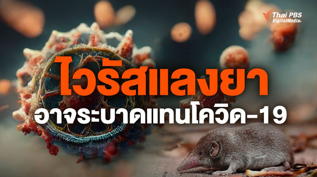 ไวรัส “แลงยา” ที่อาจระบาดแทนโควิด-19 น่ากังวลแค่ไหน ?