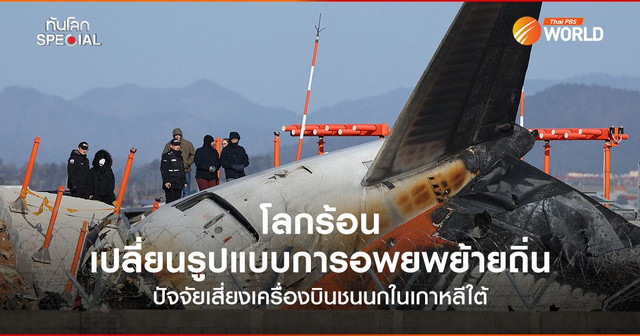 โลกร้อน เปลี่ยนรูปแบบการอพยพย้ายถิ่น ปัจจัยเสี่ยงเครื่องบินชนนกในเกาหลีใต้
