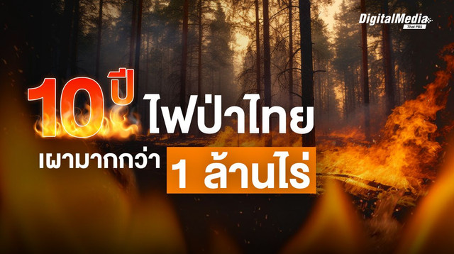 ข้อมูล “ไฟป่า” ในไทยย้อนหลัง 10 ปี เผาผลาญไปมากกว่า 1 ล้านไร่