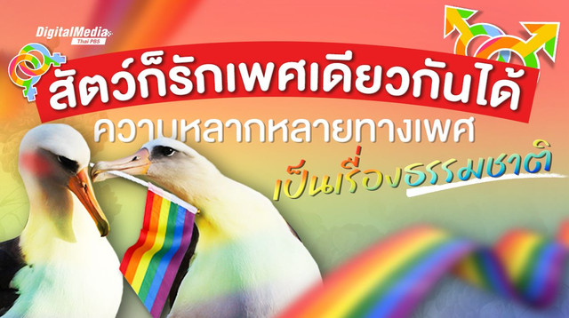 สัตว์ก็รักเพศเดียวกันได้ ความหลากหลายทางเพศเป็นเรื่องธรรมชาติ