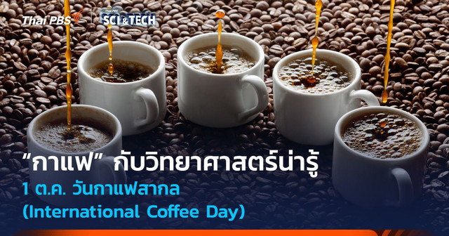 “กาแฟ” กับวิทยาศาสตร์น่ารู้
