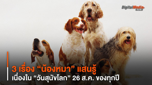 3 เรื่อง “น้องหมา” แสนรู้ เนื่องใน “วันสุนัขโลก” 26 ส.ค. ของทุกปี