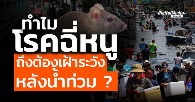 ทำไมโรคฉี่หนูถึงต้องเฝ้าระวังหลังน้ำท่วม ?