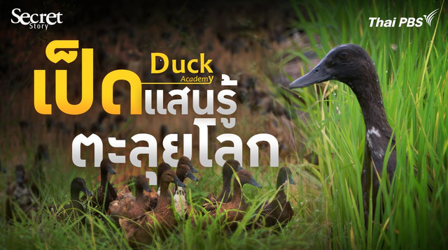 Secret Story | เป็ดแสนรู้ตะลุยโลก